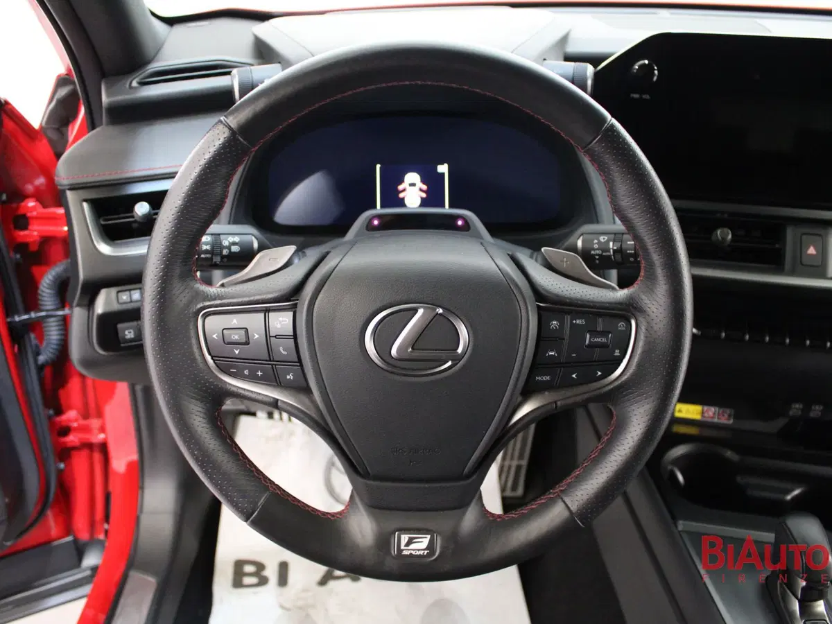 Lexus UX usata a Firenze (10)