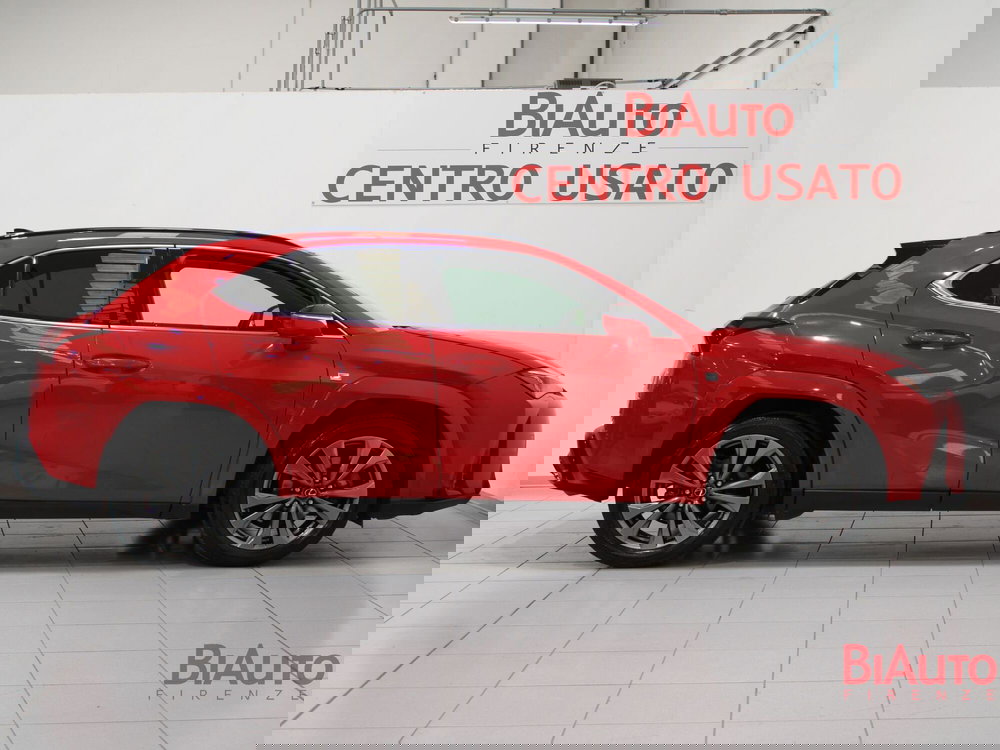 Lexus UX usata a Firenze (19)