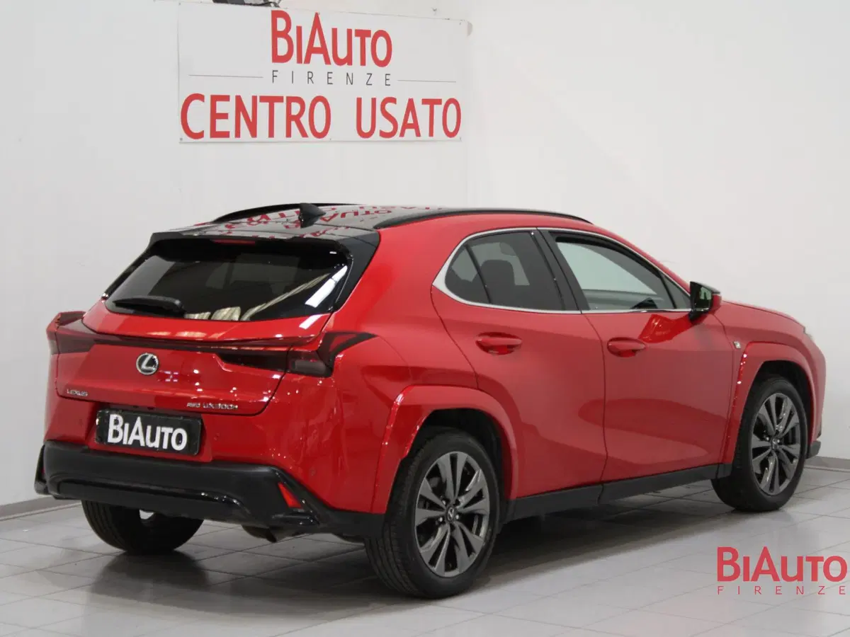 Lexus UX usata a Firenze (2)