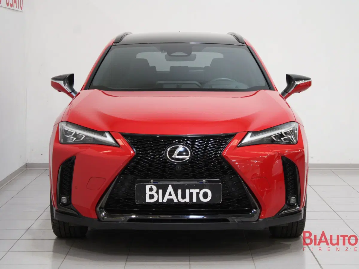 Lexus UX usata a Firenze (3)