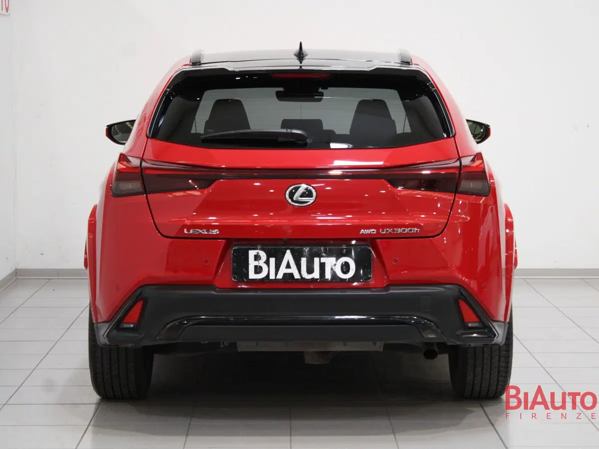 Lexus UX usata a Firenze (4)