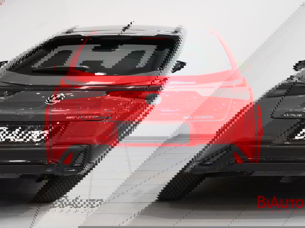 Lexus UX usata a Firenze (4)