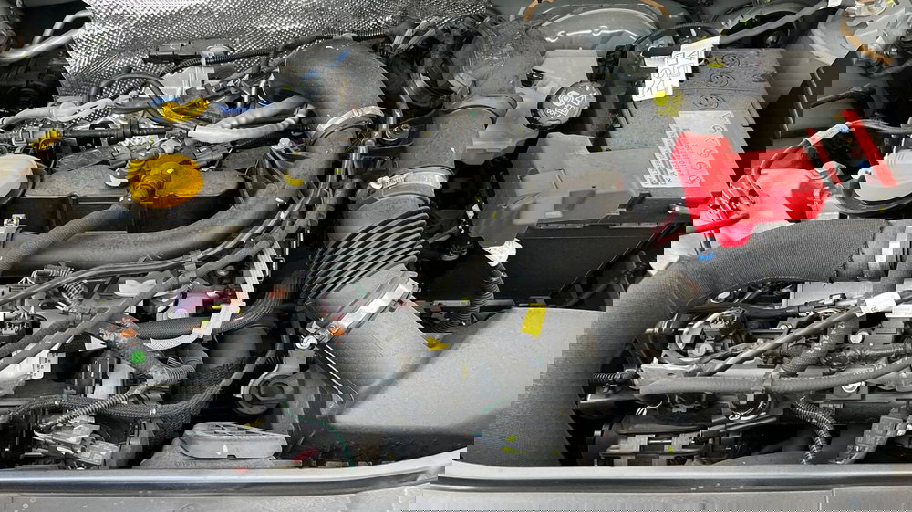 Dacia Sandero usata a Treviso (15)