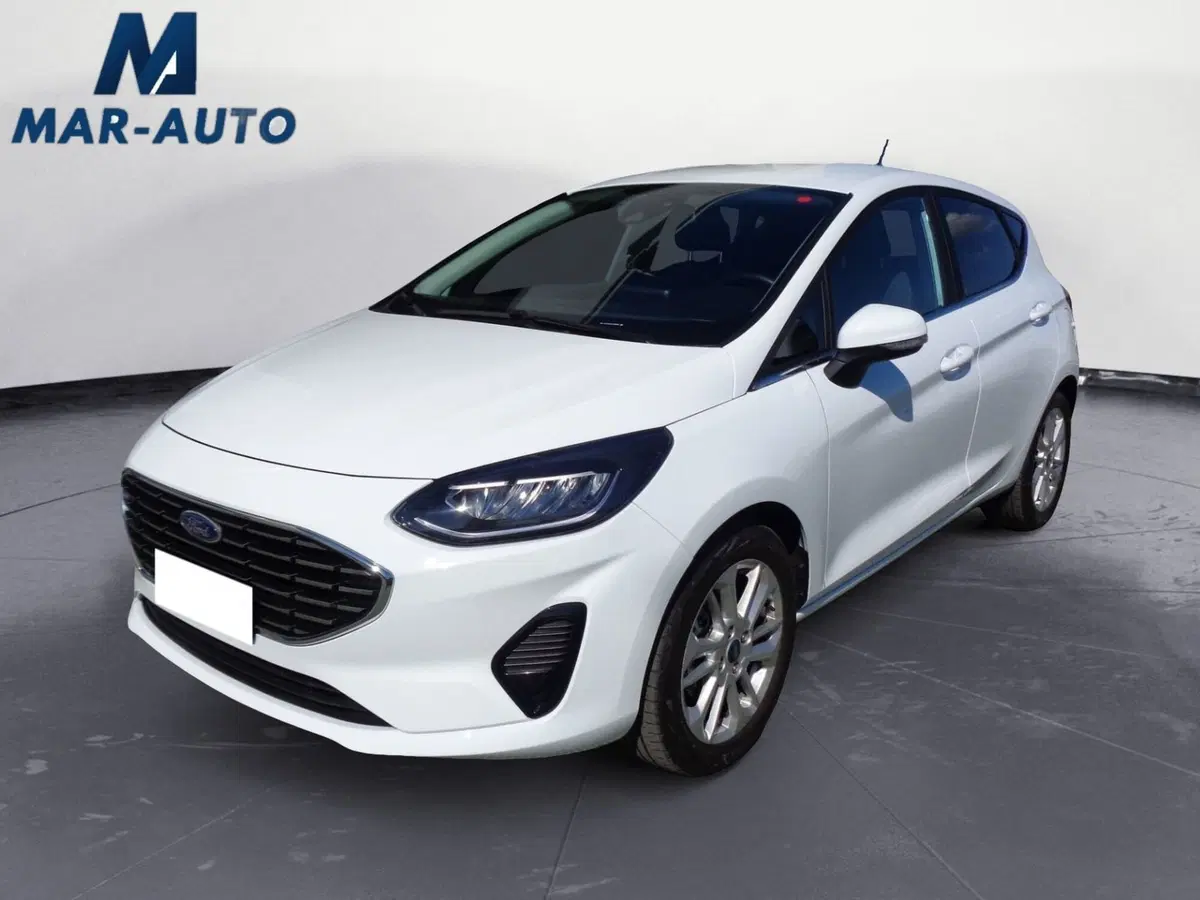 Ford Fiesta usata a Treviso