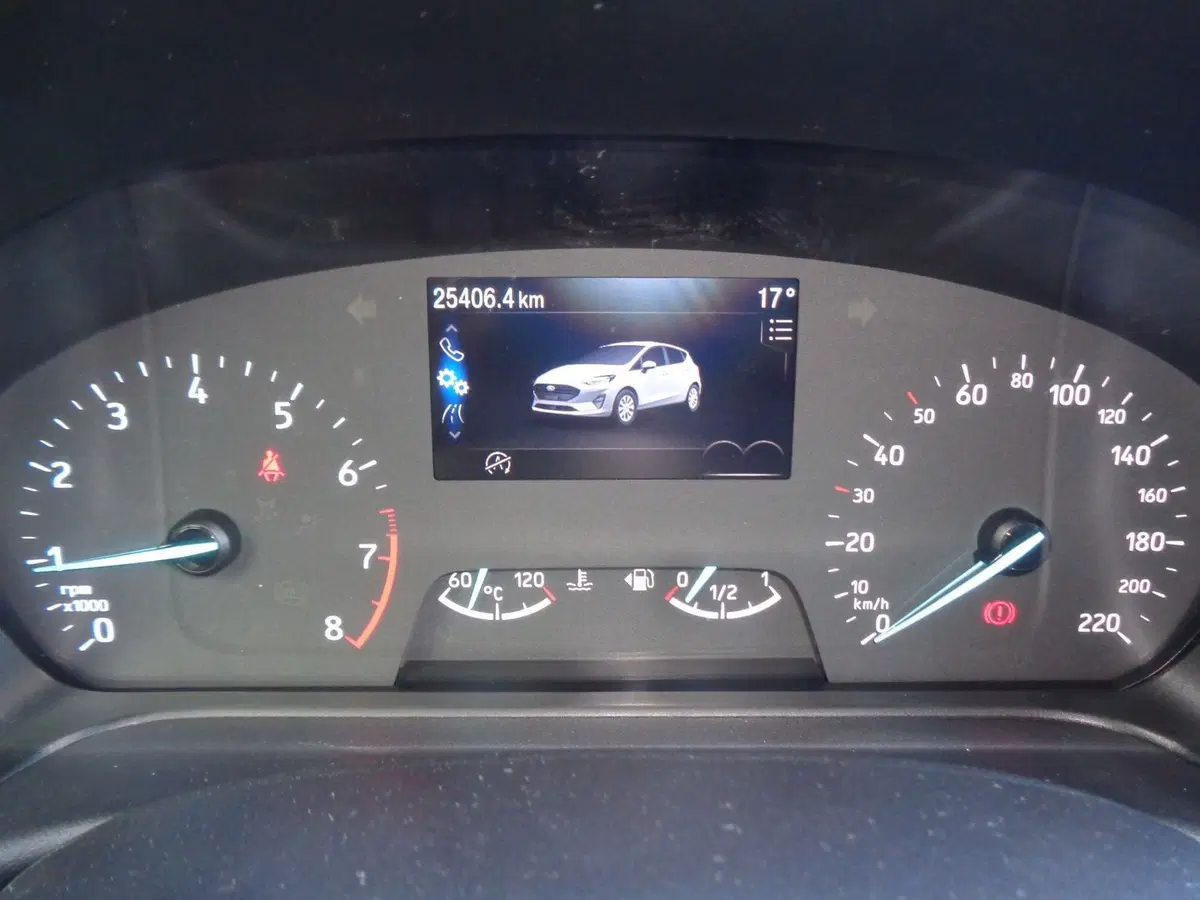 Ford Fiesta usata a Treviso (10)