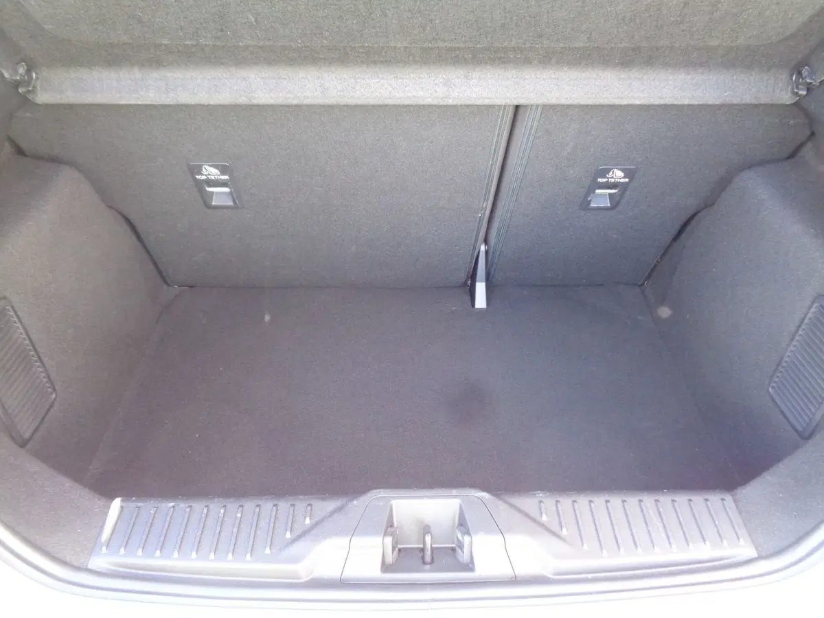Ford Fiesta usata a Treviso (15)