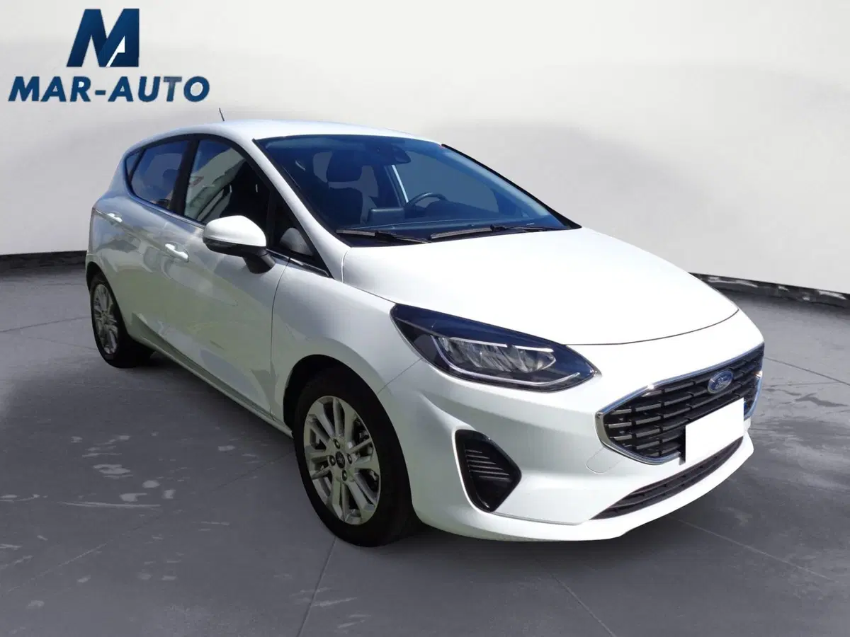 Ford Fiesta usata a Treviso (4)