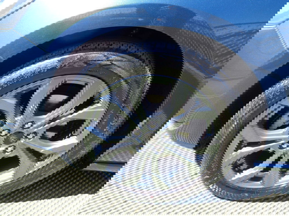 Ford Focus usata a Treviso (6)