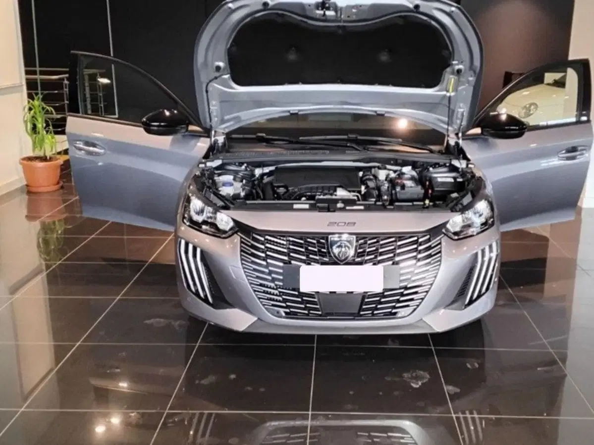Peugeot 208 usata a Salerno (10)