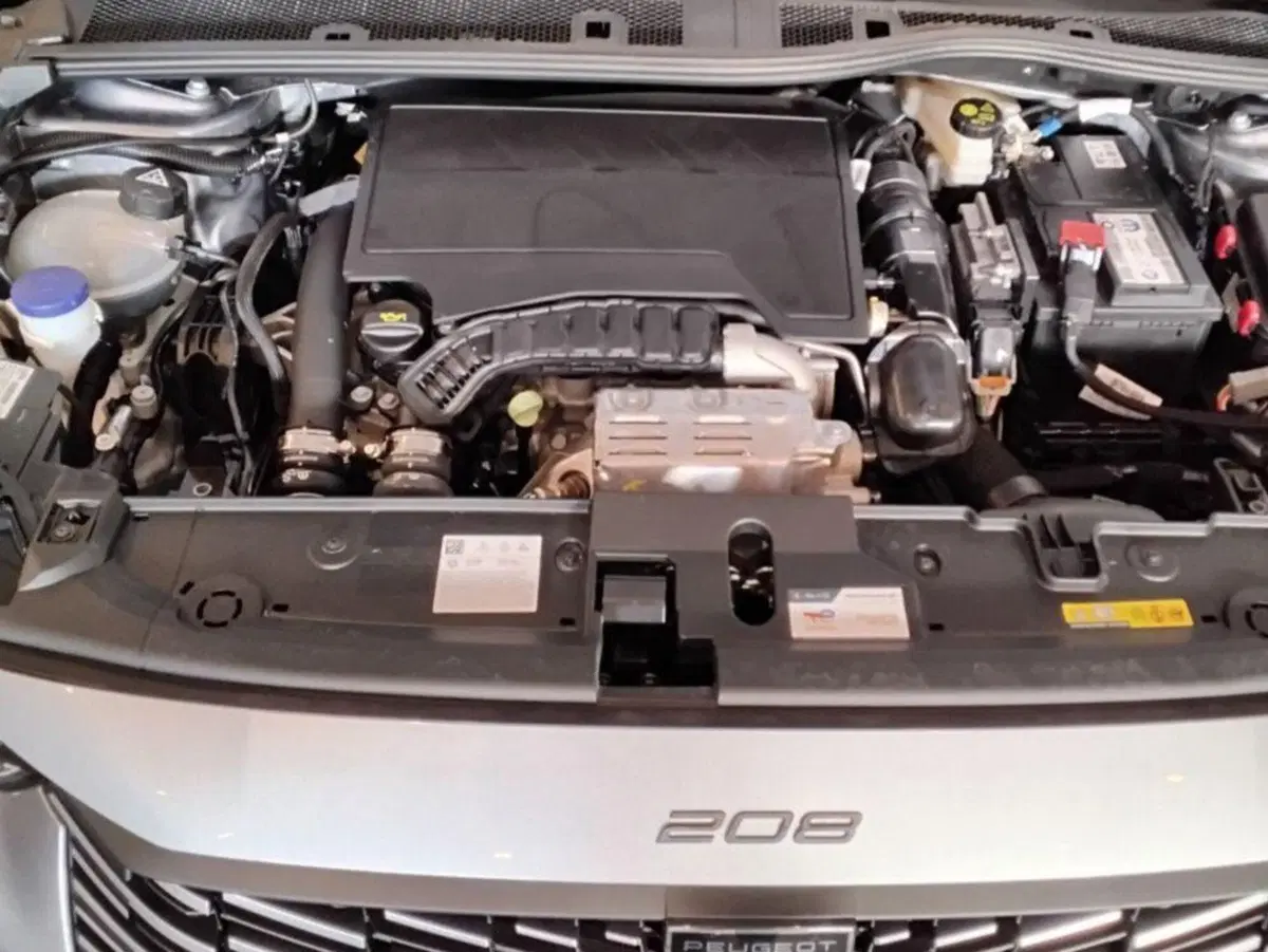 Peugeot 208 usata a Salerno (11)