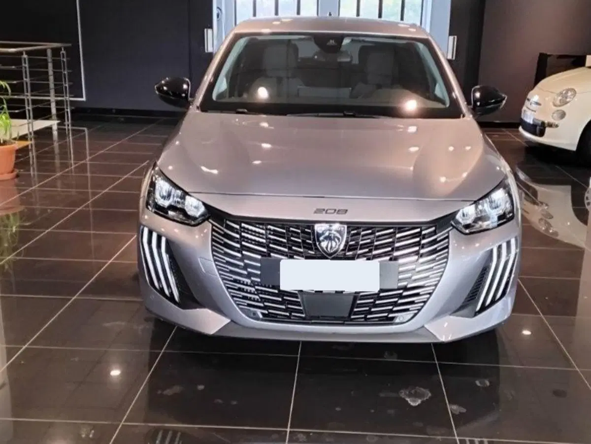 Peugeot 208 usata a Salerno (9)