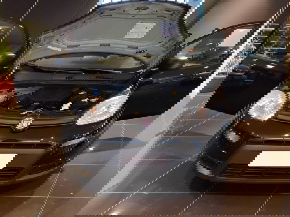 Fiat Panda usata a Salerno (10)