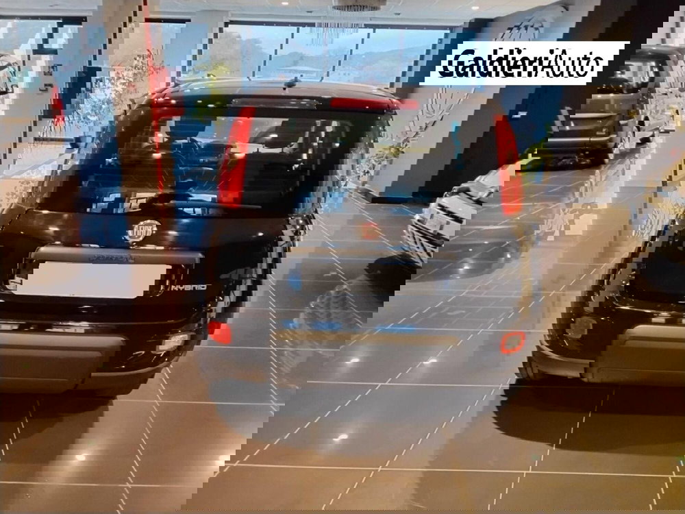 Fiat Panda usata a Salerno (11)