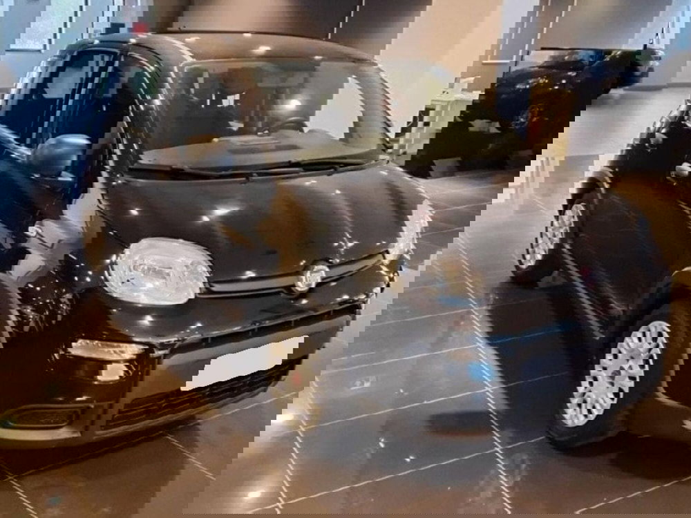 Fiat Panda usata a Salerno (2)