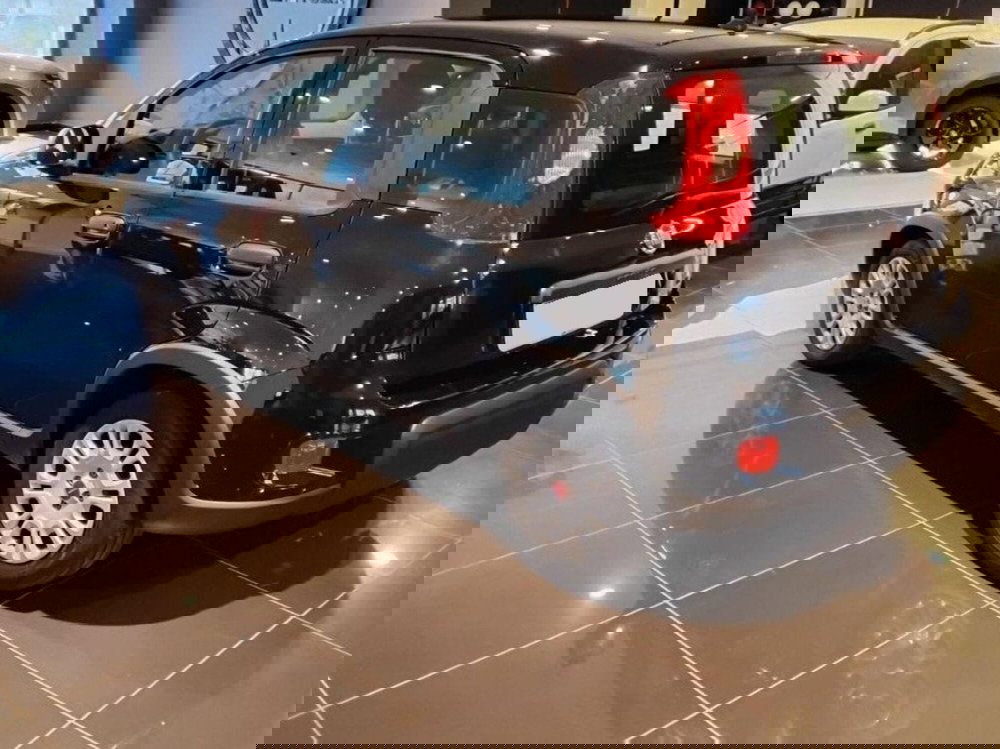 Fiat Panda usata a Salerno (3)