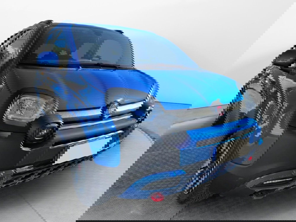 Fiat Panda Cross usata a Salerno (2)