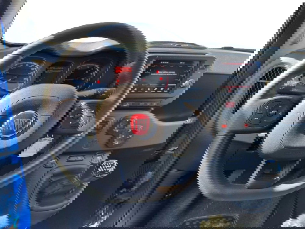 Fiat Panda Cross usata a Salerno (6)