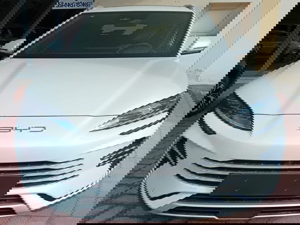 Byd Seal U DM-i  nuova a Salerno (14)