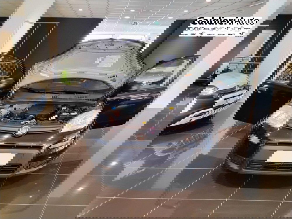 Fiat Panda usata a Salerno (10)