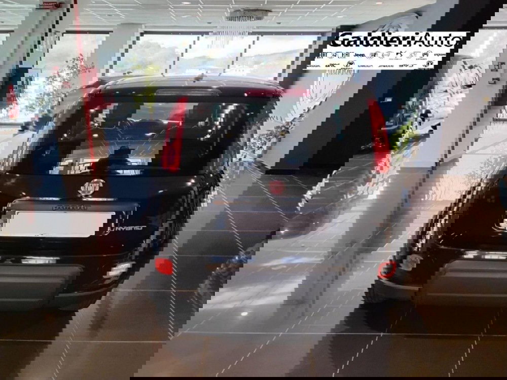 Fiat Panda usata a Salerno (11)