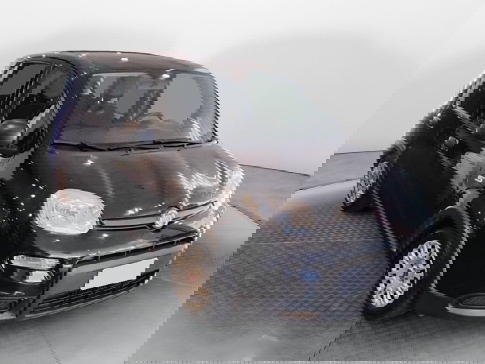 Fiat Panda usata a Salerno (2)