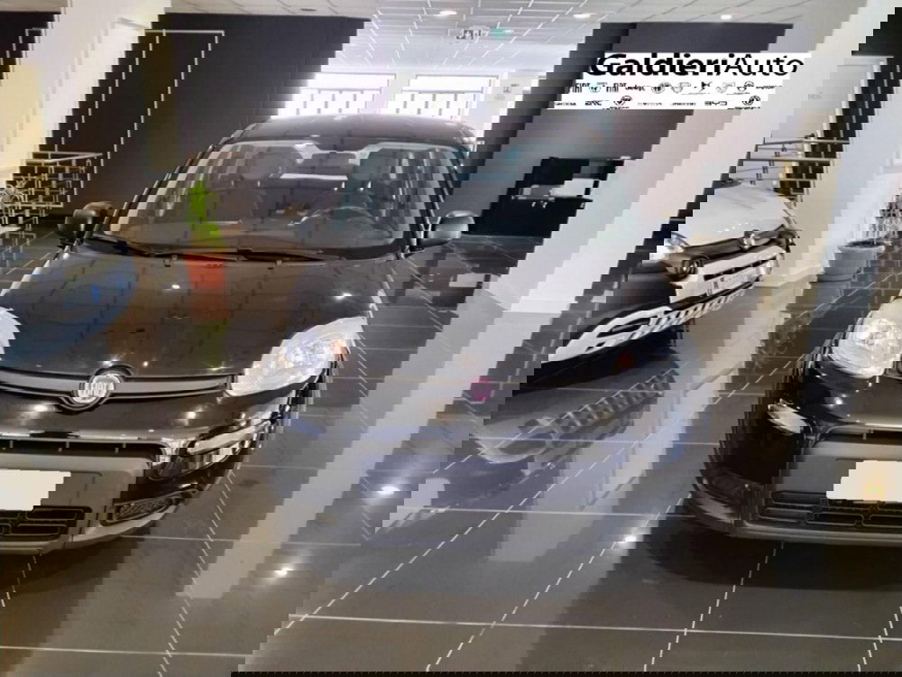 Fiat Panda usata a Salerno (9)