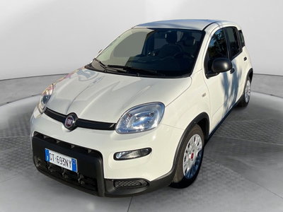 Fiat Panda Cross Cross 1.0 FireFly S&amp;S Hybrid del 2024 usata a Fisciano