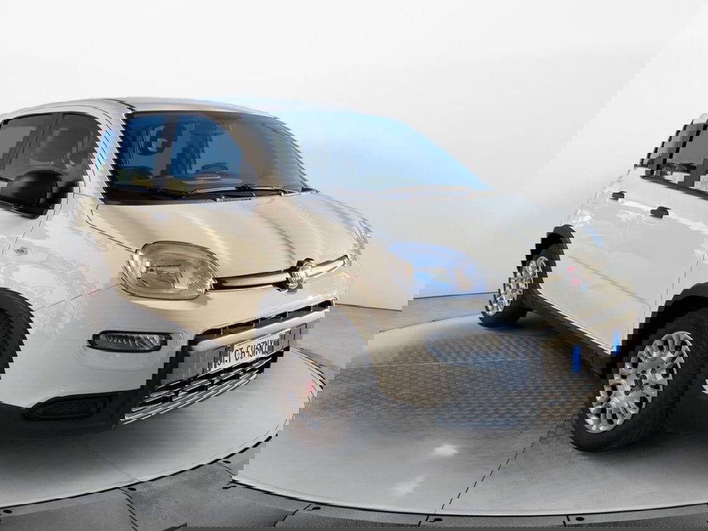 Fiat Panda Cross usata a Salerno (2)