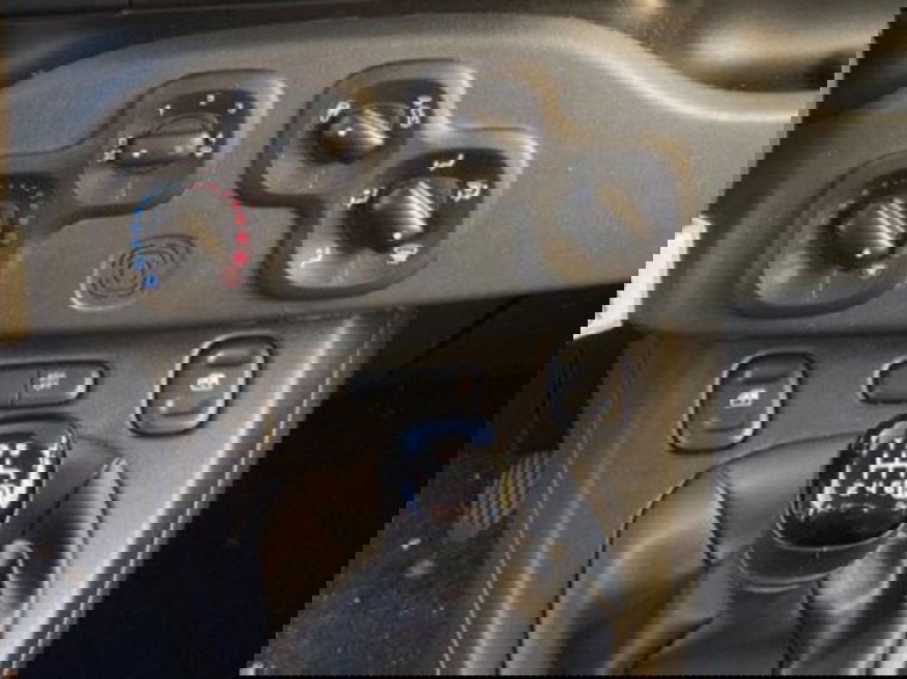 Fiat Panda Cross usata a Salerno (20)