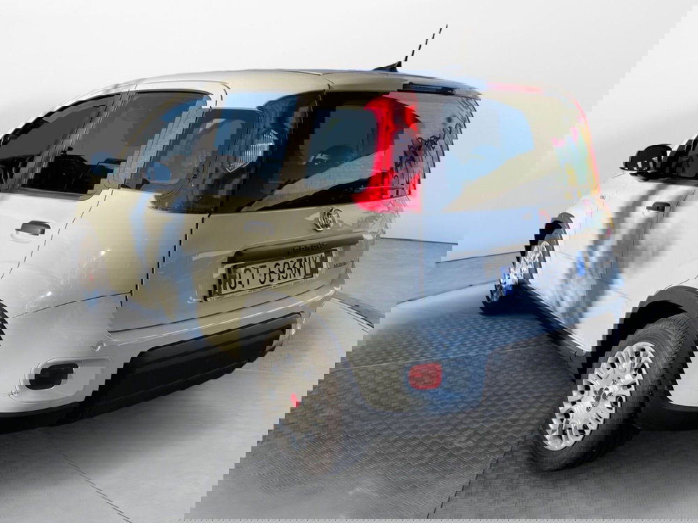 Fiat Panda Cross usata a Salerno (3)