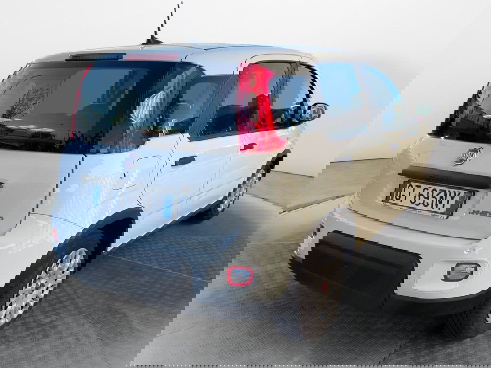 Fiat Panda Cross usata a Salerno (4)