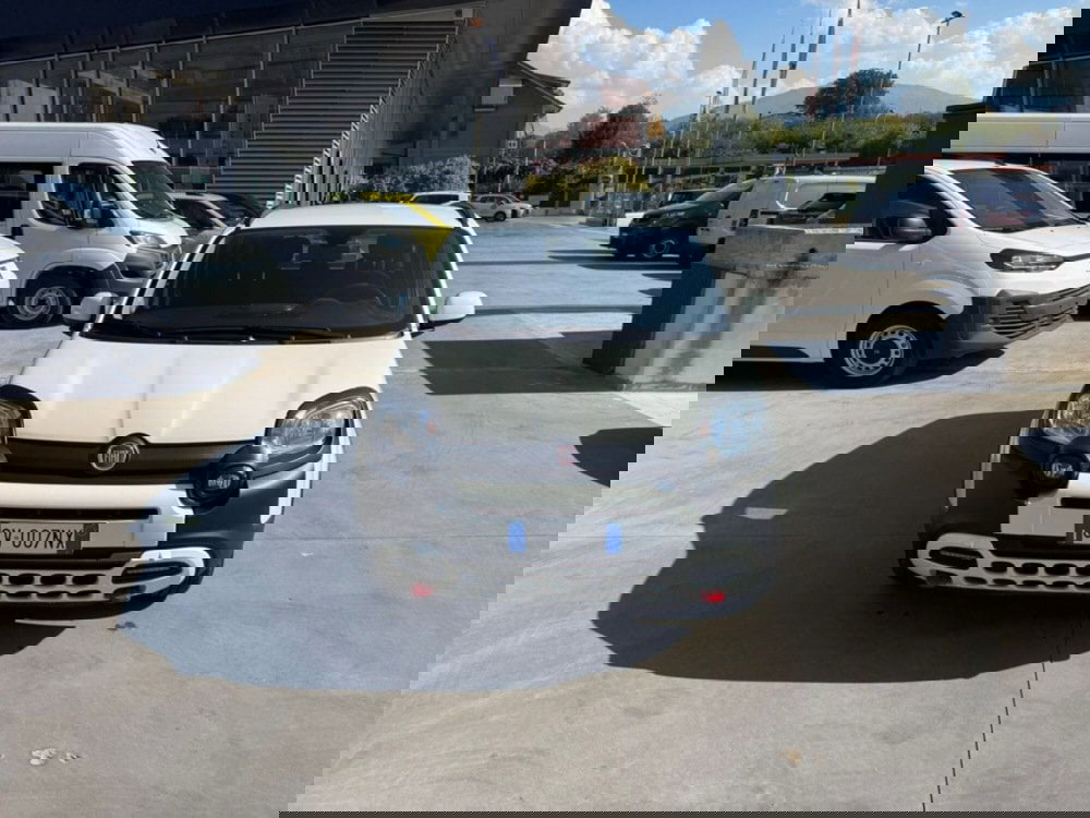 Fiat Panda Cross usata a Salerno (9)