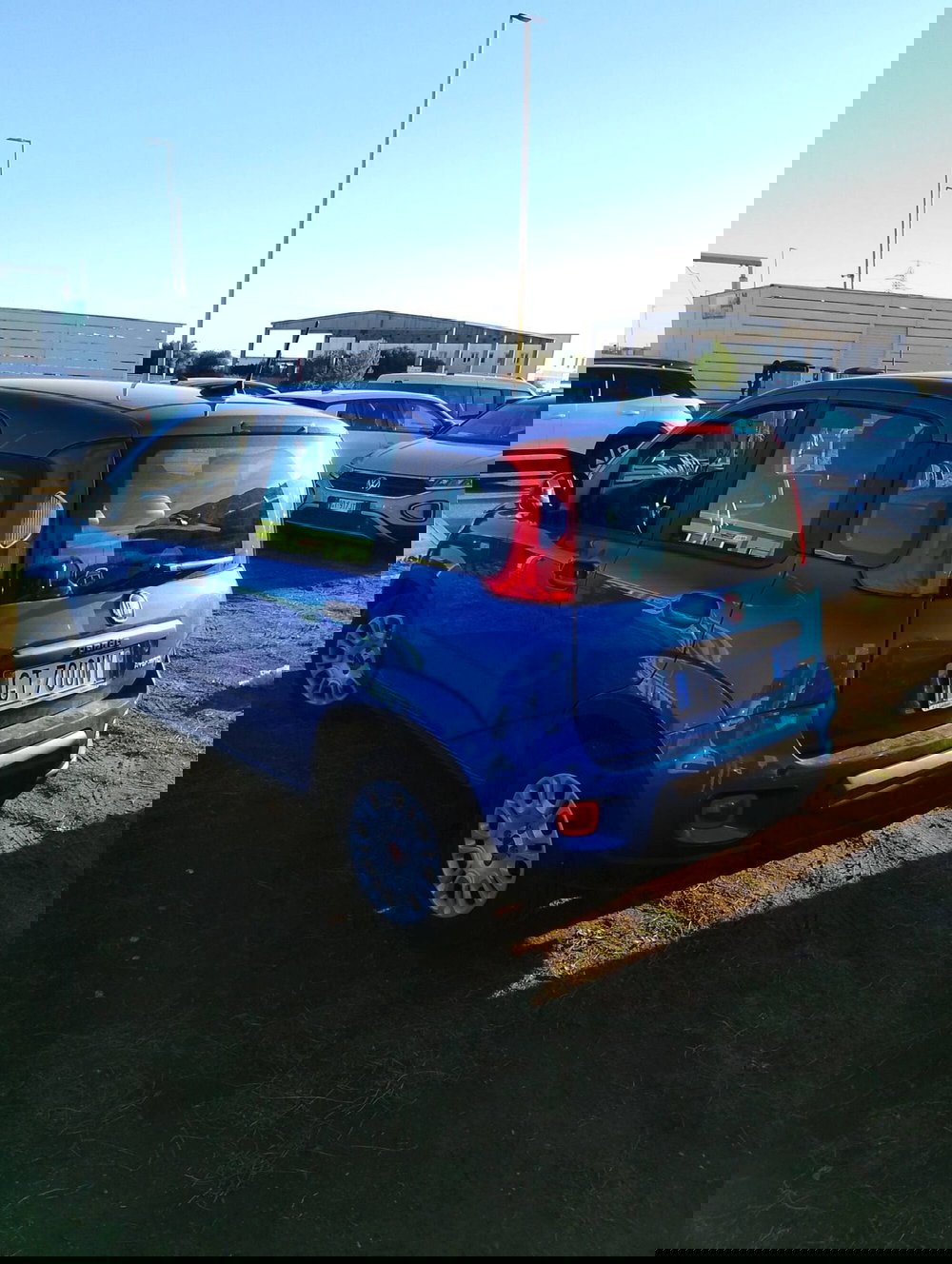 Fiat Panda Cross usata a Salerno (10)