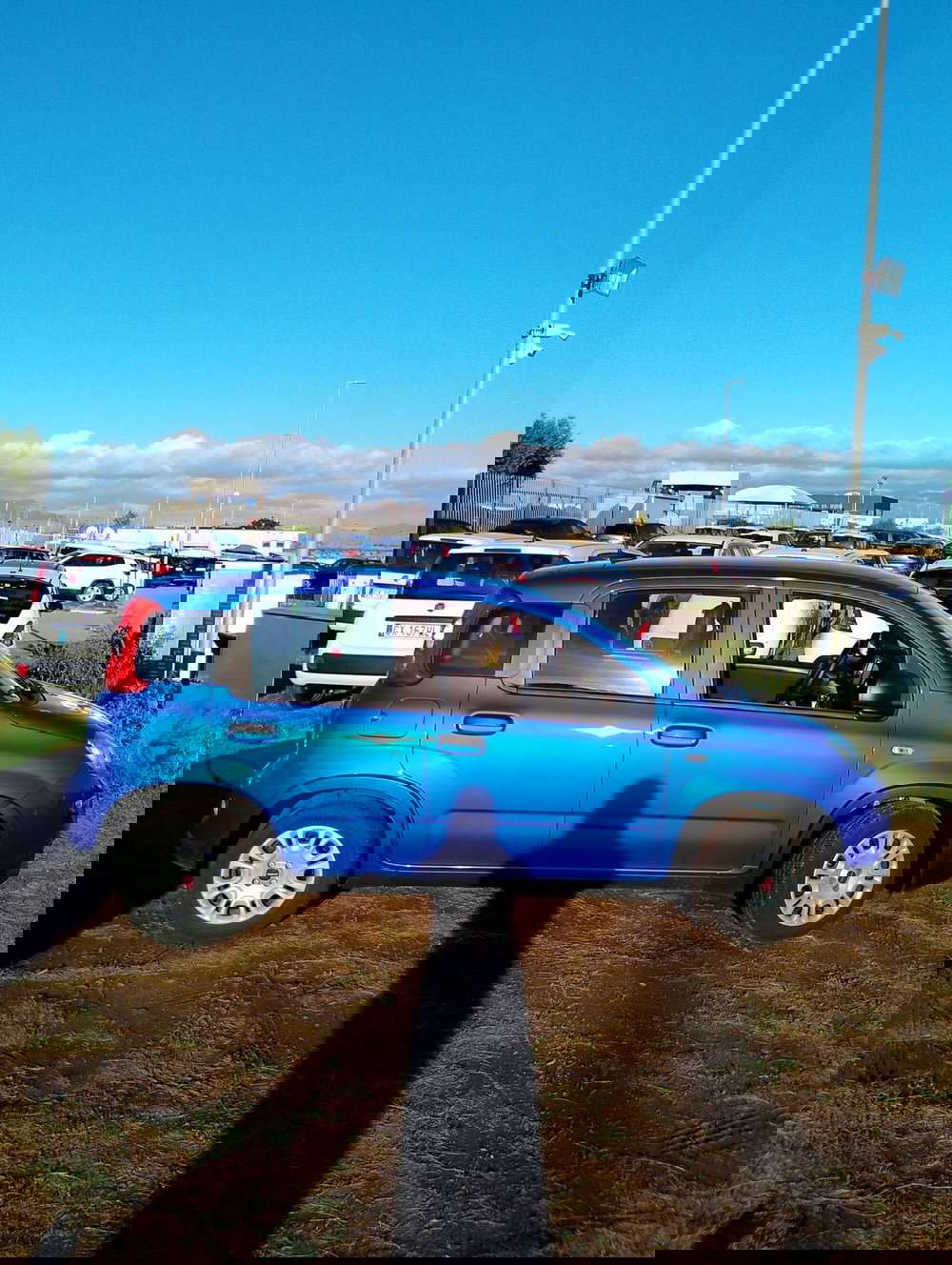 Fiat Panda Cross usata a Salerno (11)