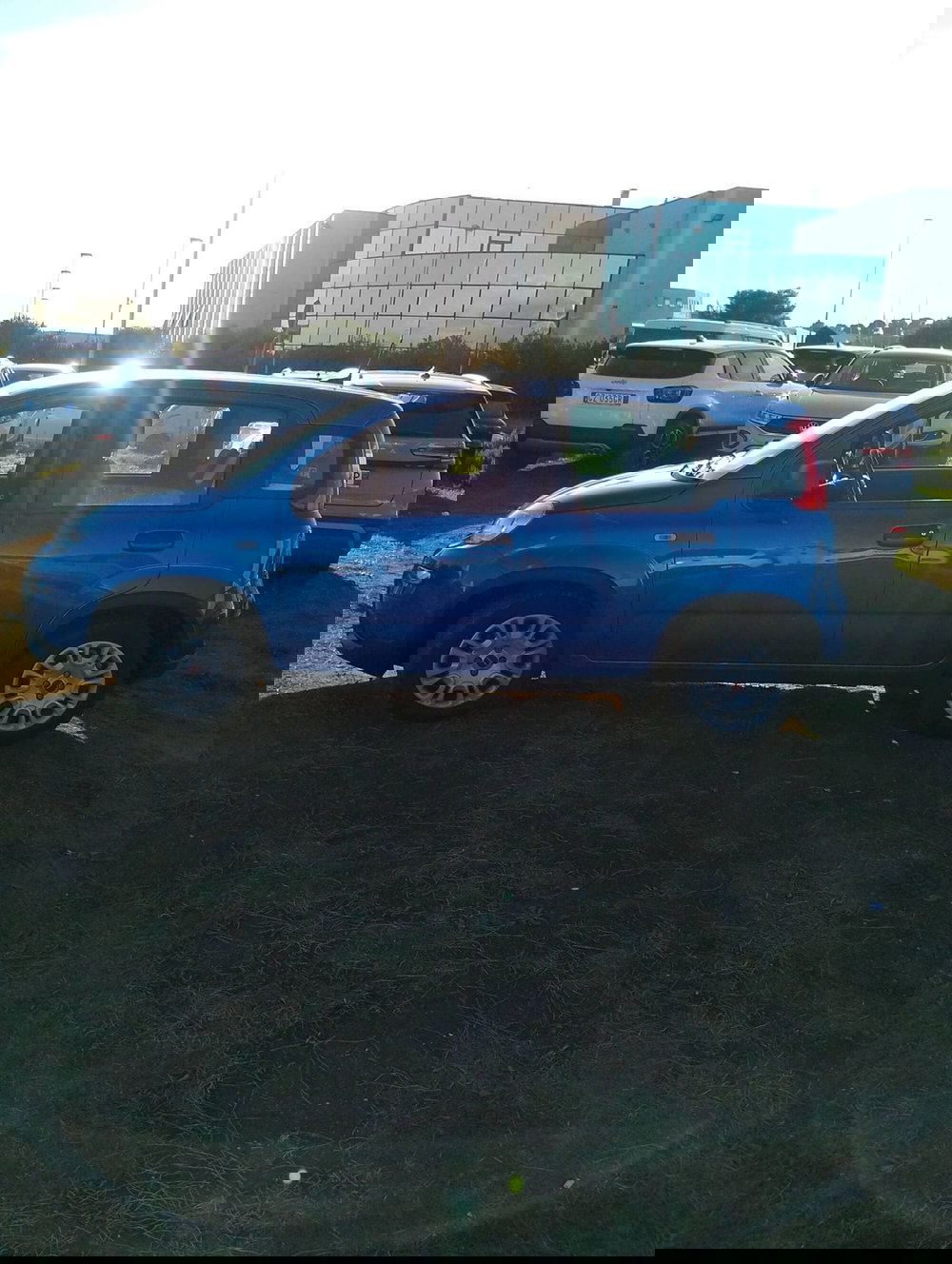 Fiat Panda Cross usata a Salerno (12)