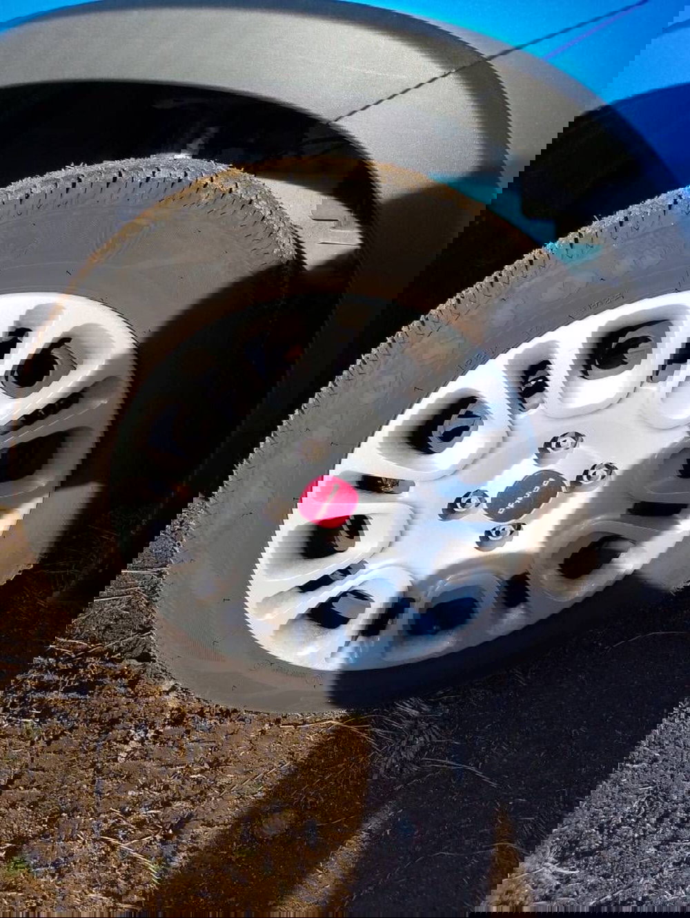 Fiat Panda Cross usata a Salerno (17)