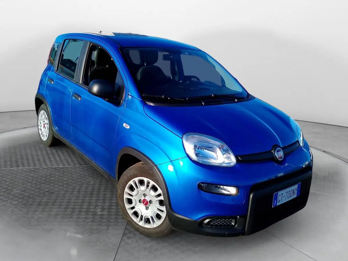 Fiat Panda Cross usata a Salerno (2)