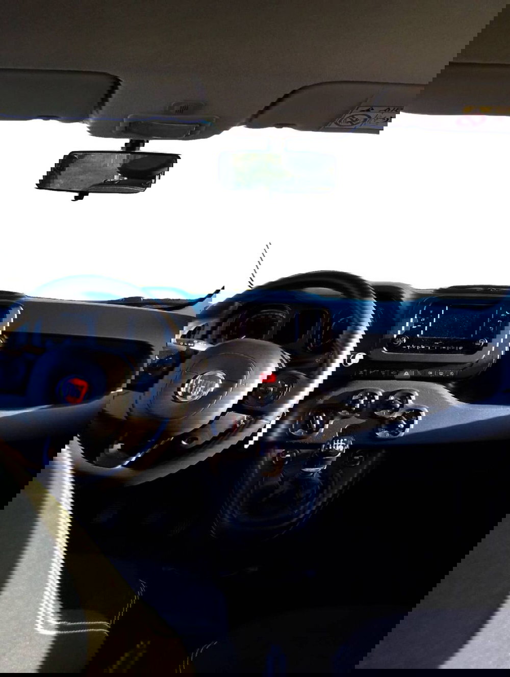 Fiat Panda Cross usata a Salerno (6)