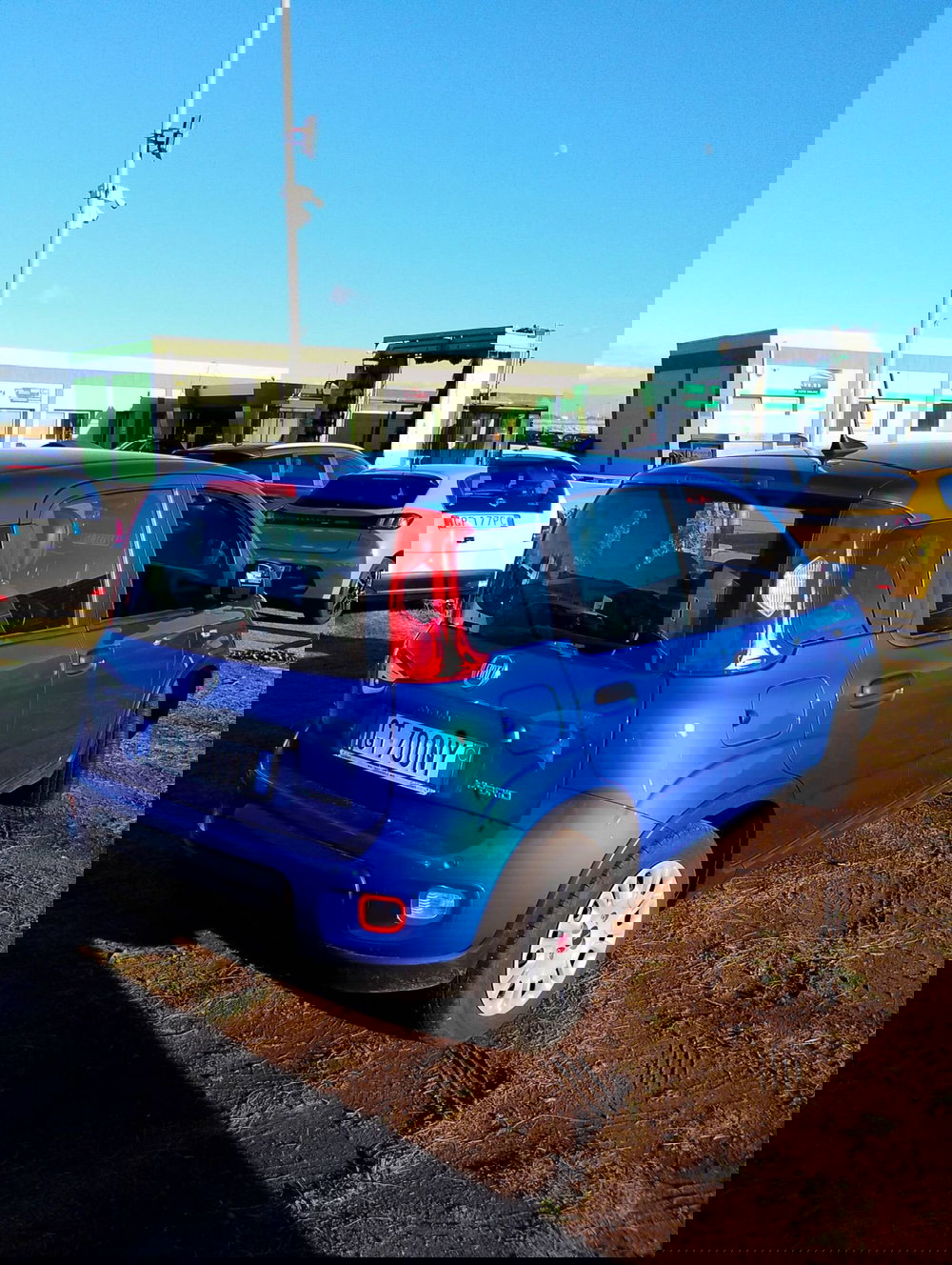 Fiat Panda Cross usata a Salerno (9)