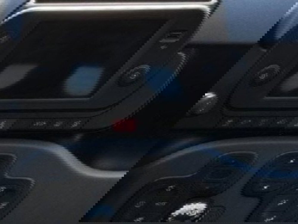 Fiat Panda Cross usata a Salerno (13)