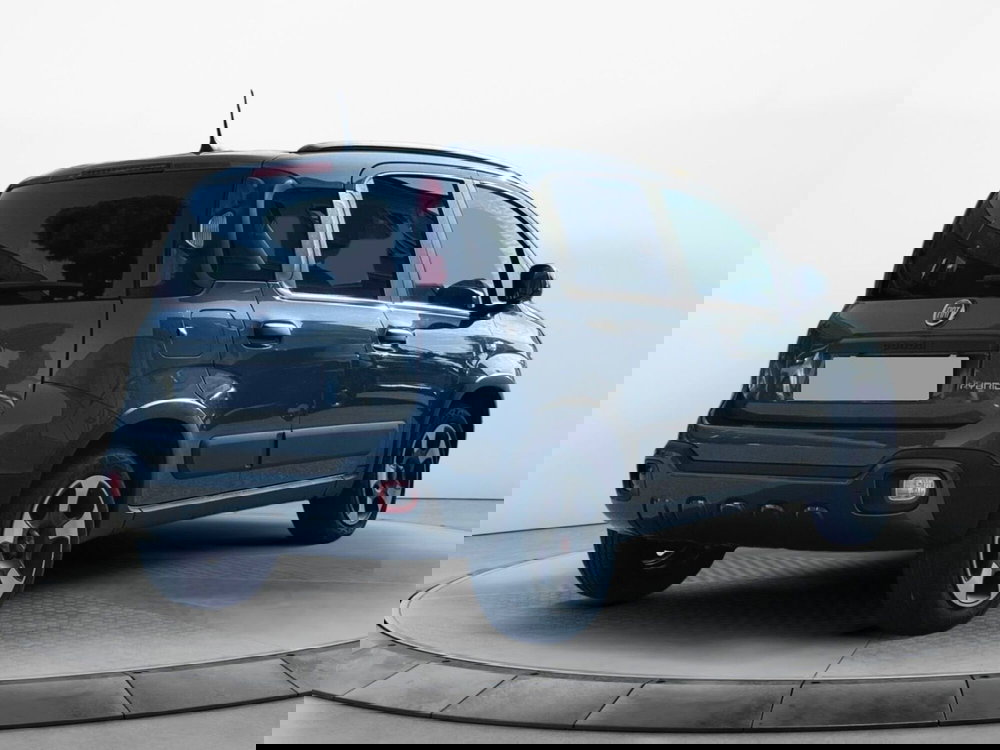 Fiat Panda Cross usata a Salerno (4)