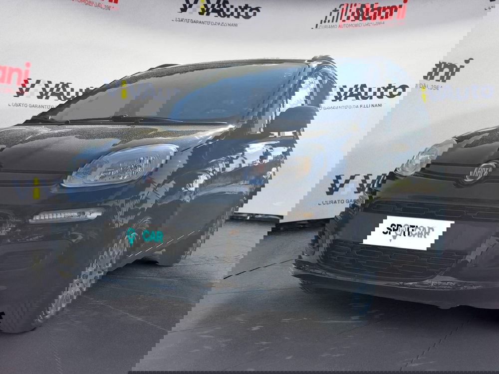 Fiat Panda usata a Massa-Carrara