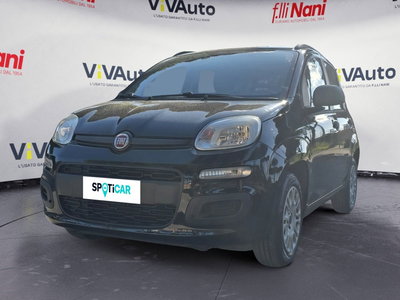 Fiat Panda 1.2 Lounge del 2015 usata a Massa