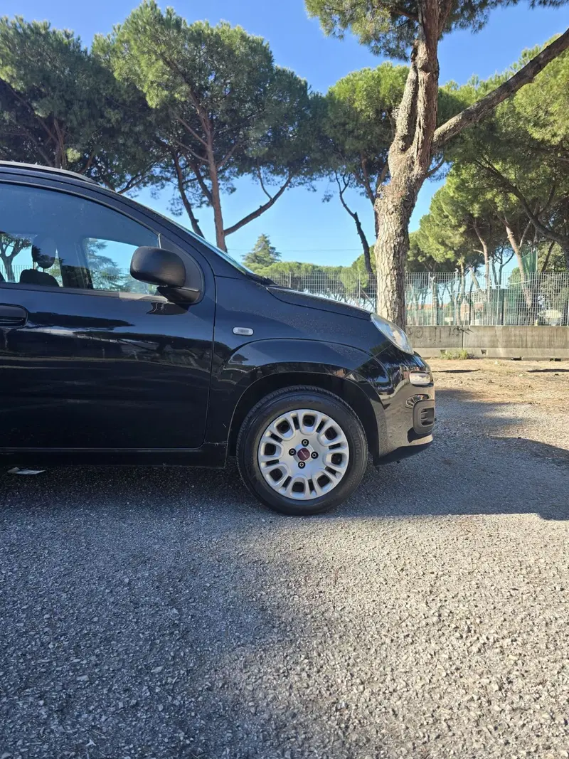 Fiat Panda usata a Massa-Carrara (10)