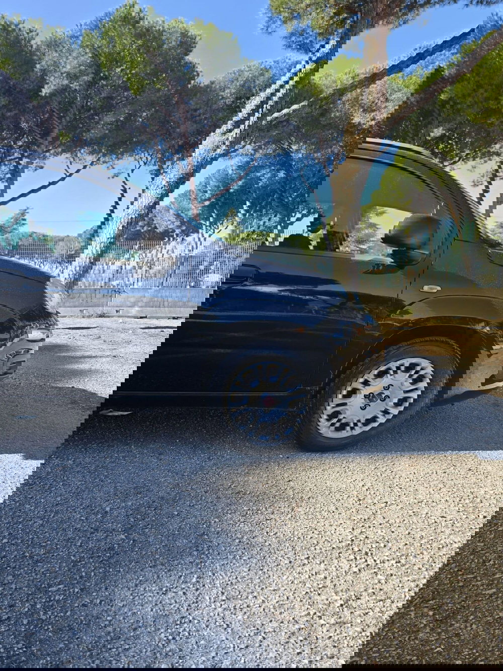 Fiat Panda usata a Massa-Carrara (10)