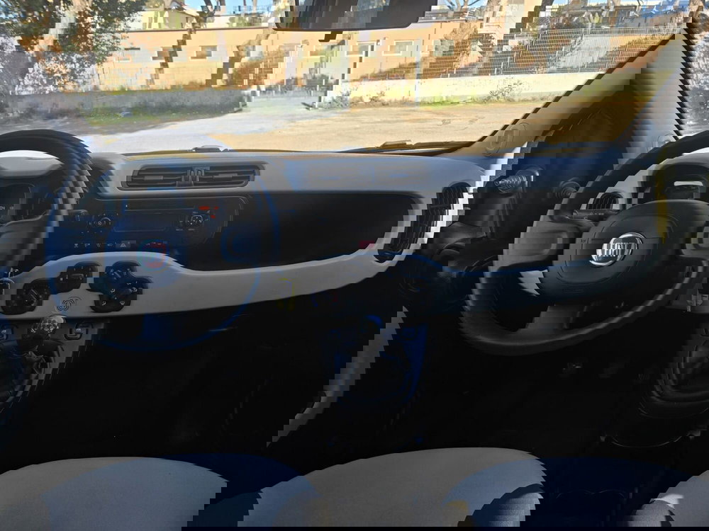 Fiat Panda usata a Massa-Carrara (11)