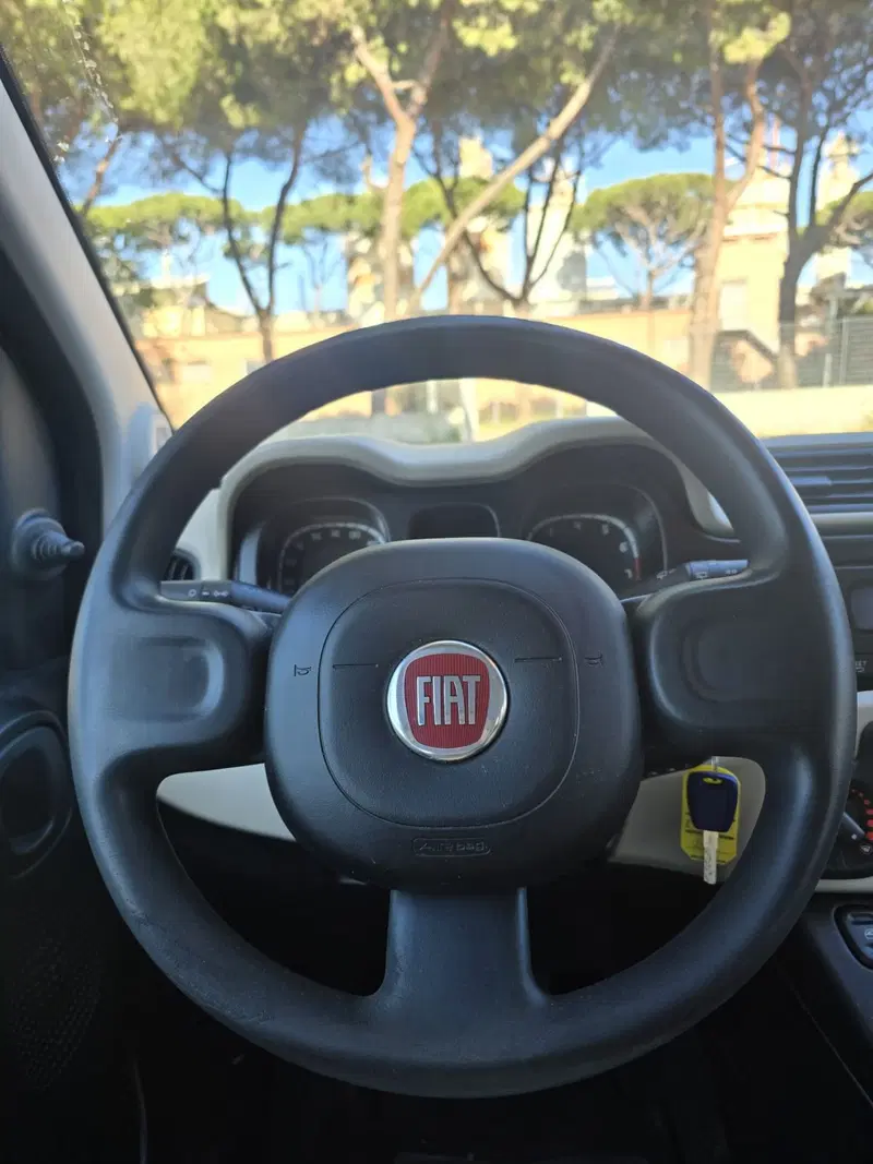 Fiat Panda usata a Massa-Carrara (15)