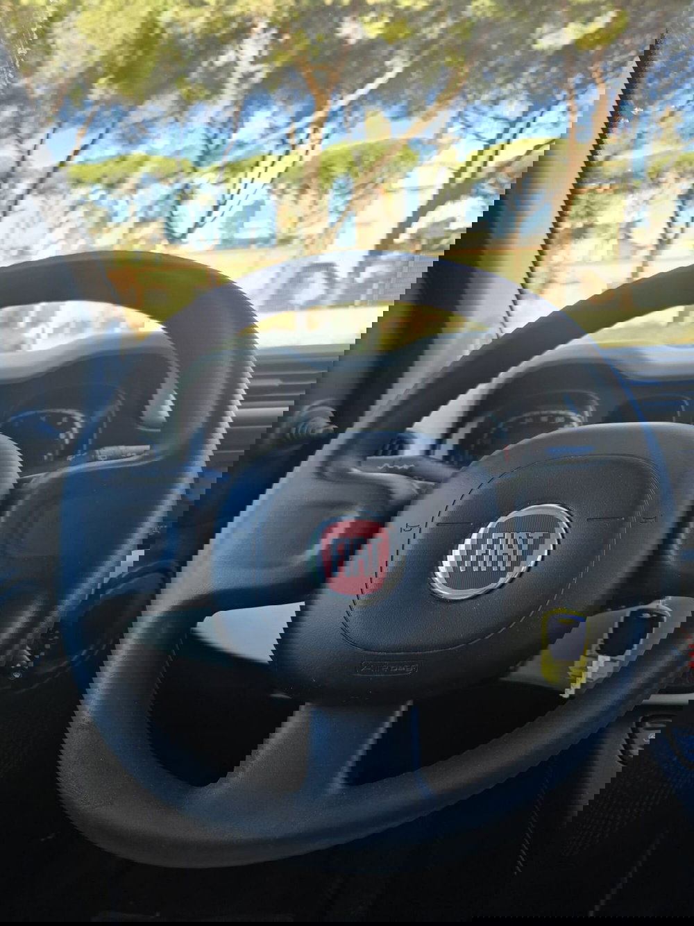 Fiat Panda usata a Massa-Carrara (15)