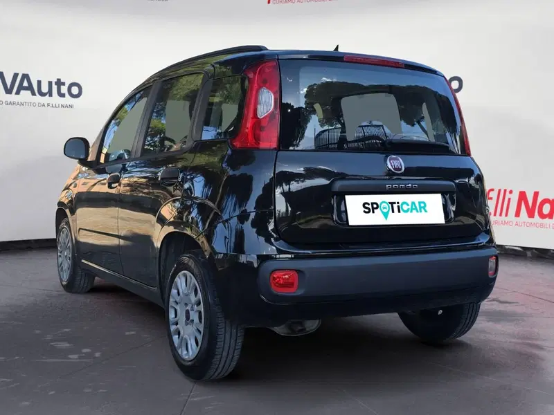 Fiat Panda usata a Massa-Carrara (7)