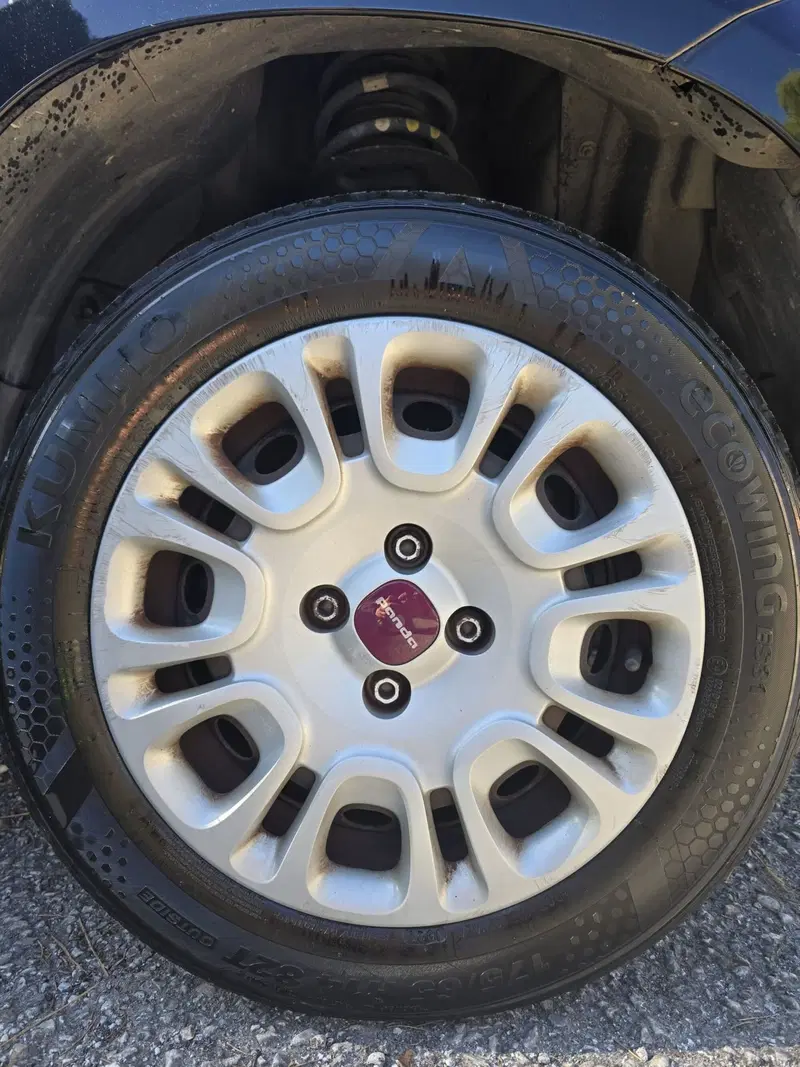 Fiat Panda usata a Massa-Carrara (9)